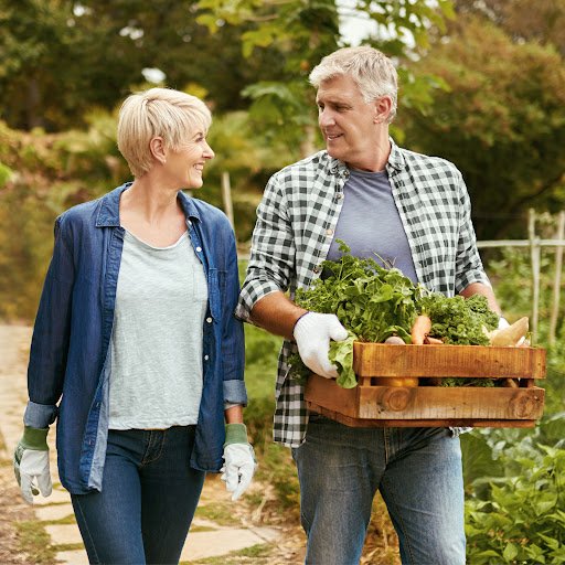 Meadow Farms Dental Care